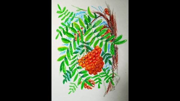 Декоративный рисунок рябины