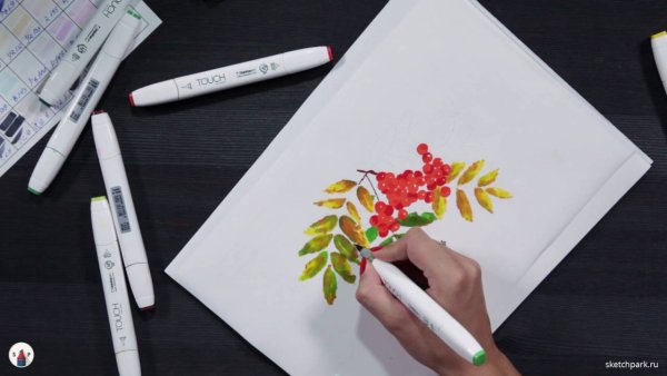 Рябина скетч маркерами