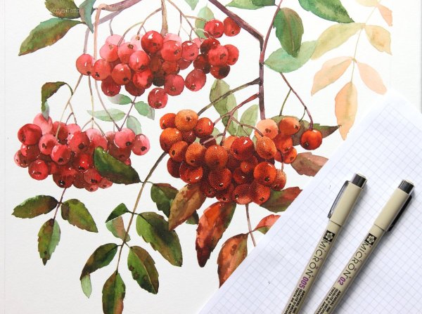 Рябина пуантилизм