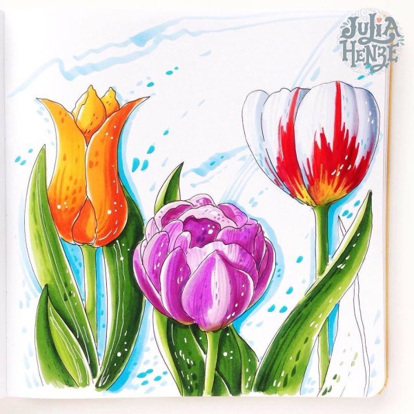 Тюльпаны фломастерами