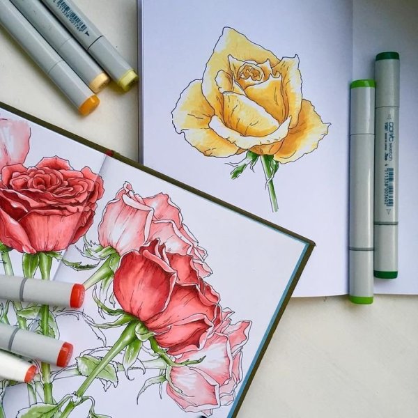 Маркеры TOUCHNEW 60 цветов