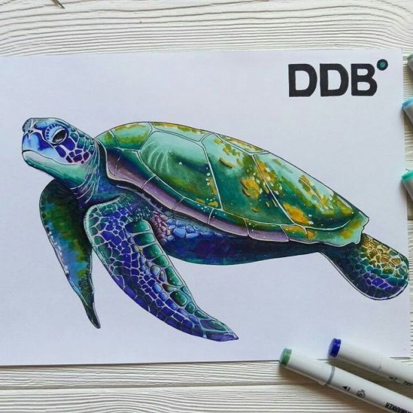 Черепаха маркерами