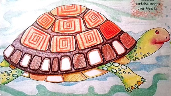 Черепаха цветными карандашами