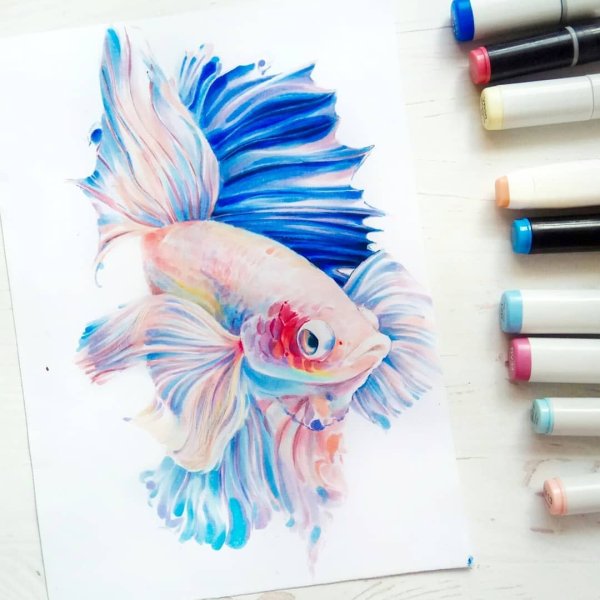 Рыбки маркерами