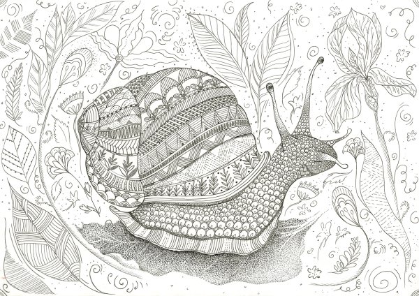 Стилизация улитки в графике