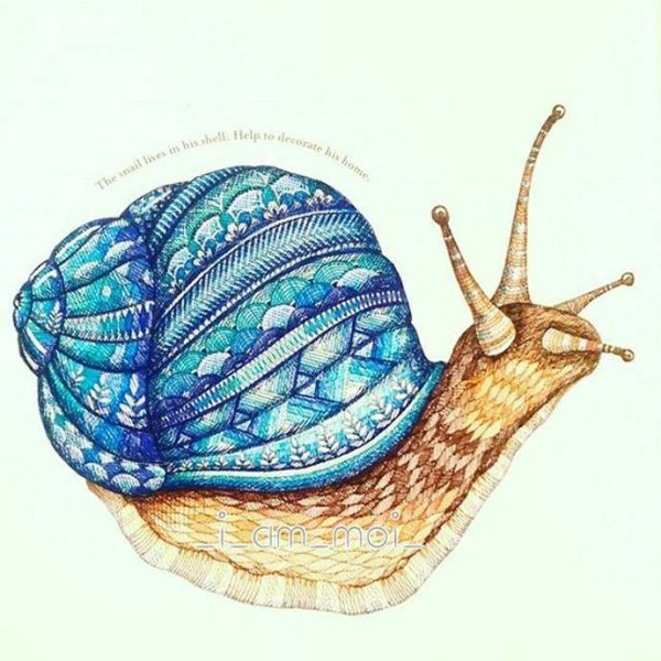 Улитка скетч