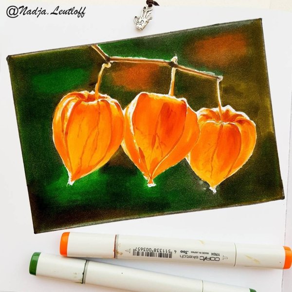 Скетчинг маркерами физалис