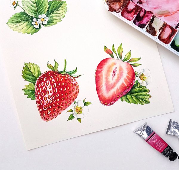 Клубника скетчинг акварель