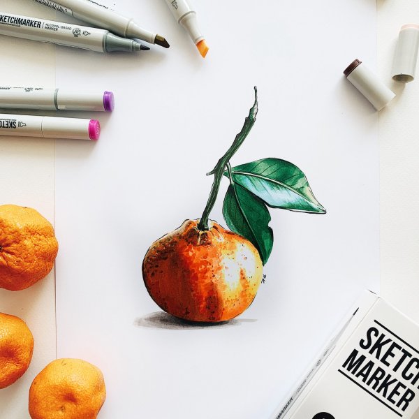 Мандарин акварелью