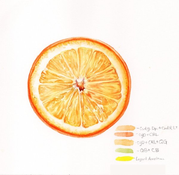 Скетчинг мандарины