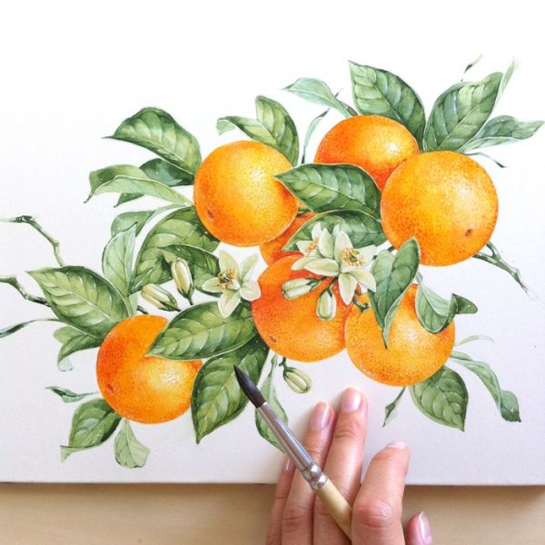 Рисовать мандаринку маркерами