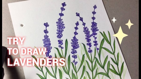 Скетчбук Лаванда