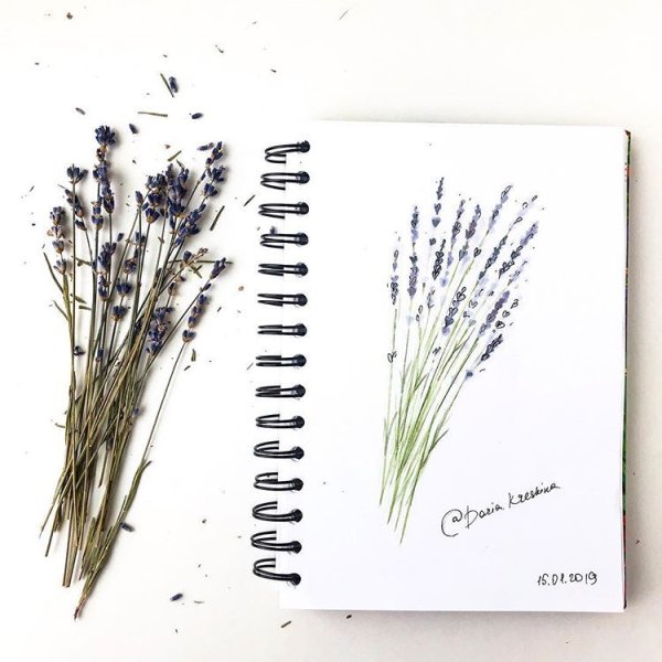 Рисование в скетчбуке для начинающих