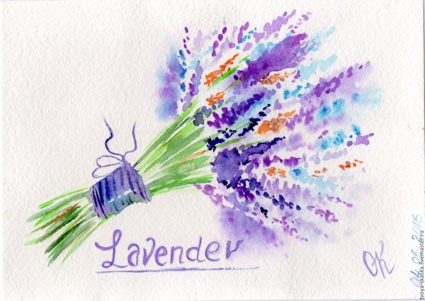 Лаванда спиртовыми маркерами