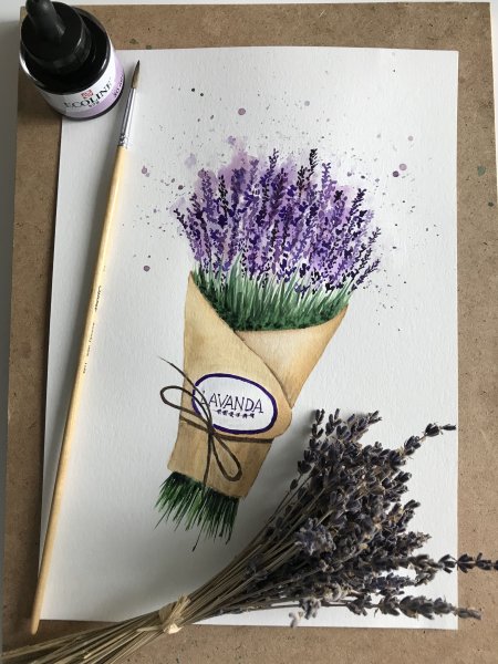 Лаванда карандашом