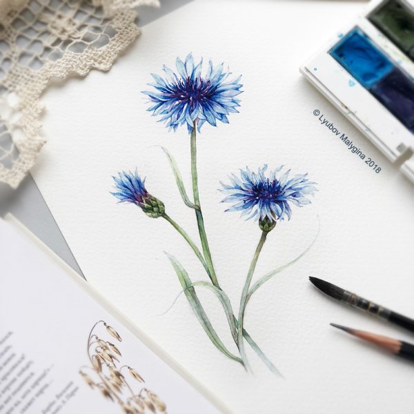 Лаванда фломастерами