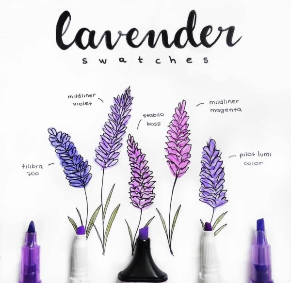 Скетчинг Лаванда маркерами