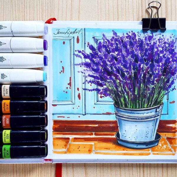 Лаванда Колосовая рисунок