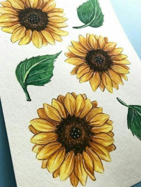 Скетчинг букет подсолнухов