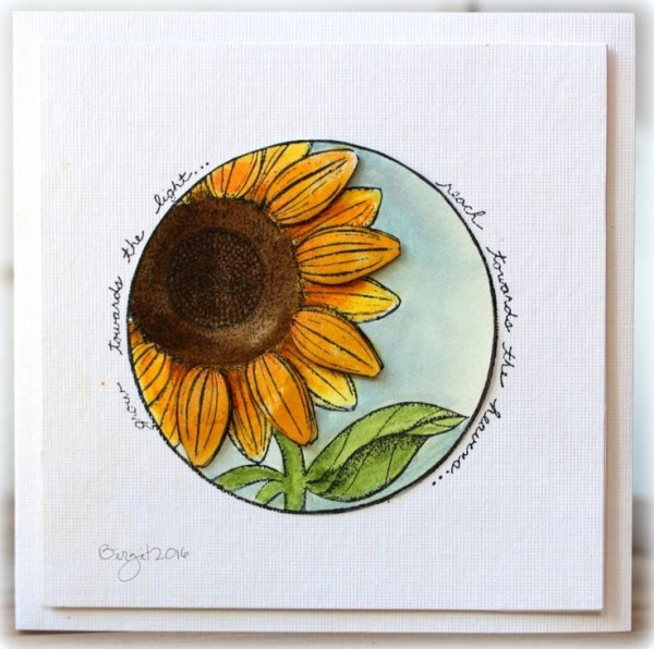 Подсолнух маркерами