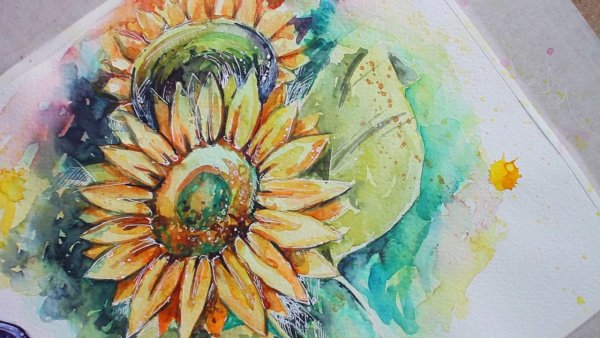 Скетчинг Подсолнухи акварелью