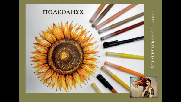 Скетчинг маркерами подсолнух
