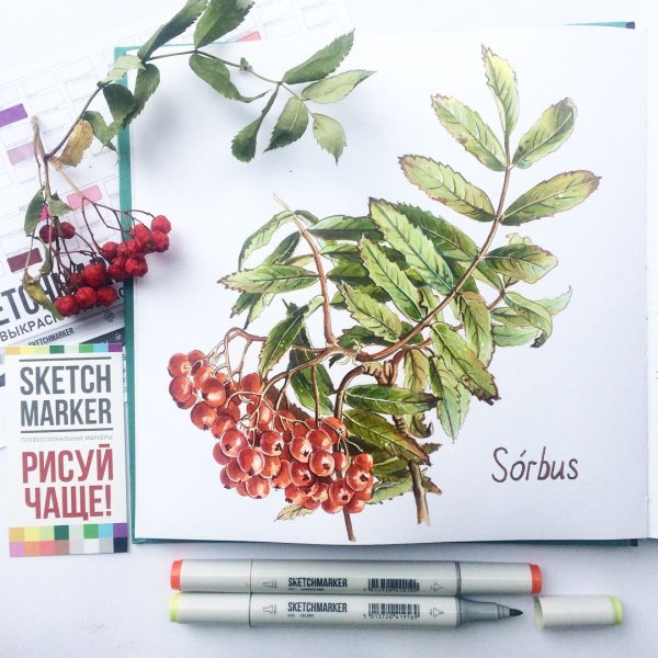 Скетч маркерами осень