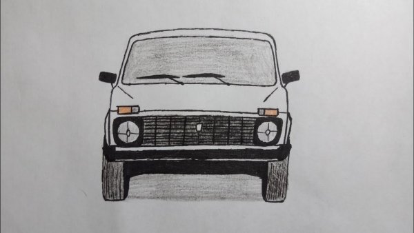 Нива карандашом