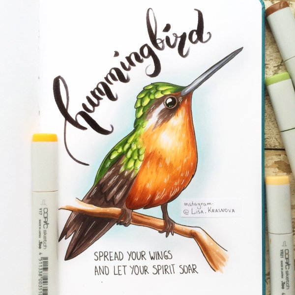 Птица маркерами