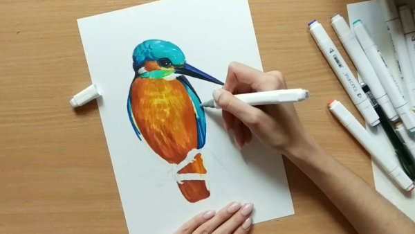 Рисунки маркерами птицы