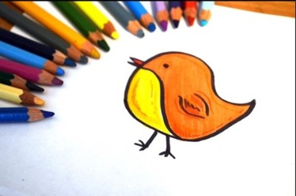 Рисунки птичек фломастерами
