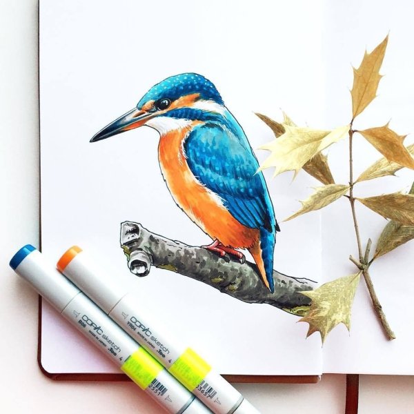 Рисунки фломастерами