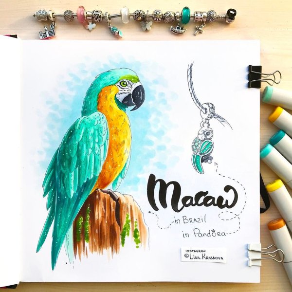 Скетчинг маркерами попугай