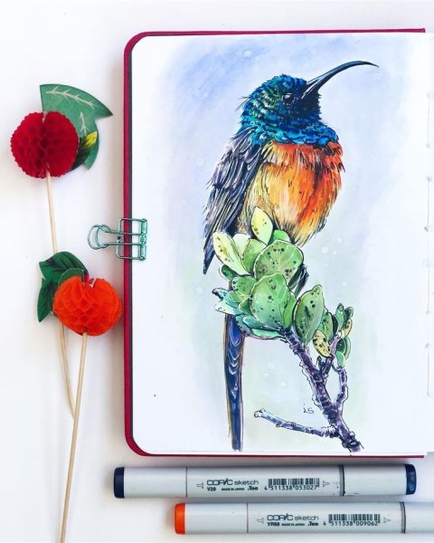 Скетчинг птицы