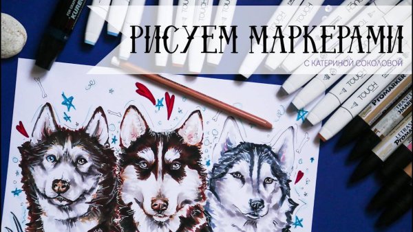 Хаски маркерами