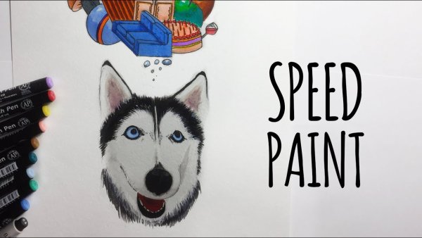 Хаски скетч маркерами