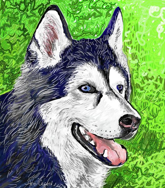 Артвентура картина по номерам "хаски" 16.5x13 см