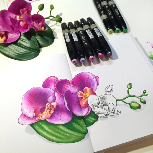 Орхидея маркерами