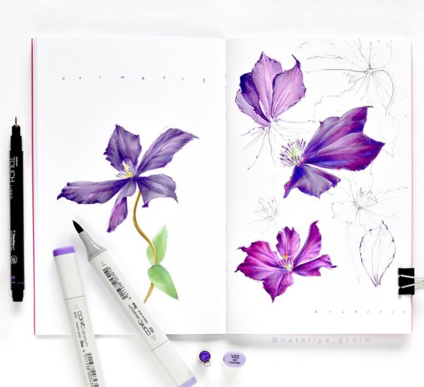 Орхидея акварель