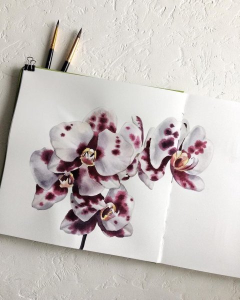 Синие цветы гуашью