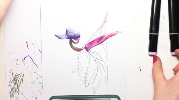 Цветы скетч