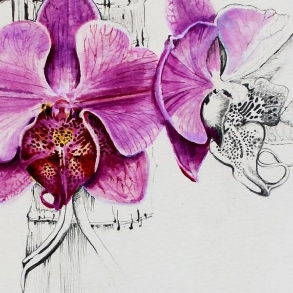 Растения маркерами для скетчинга