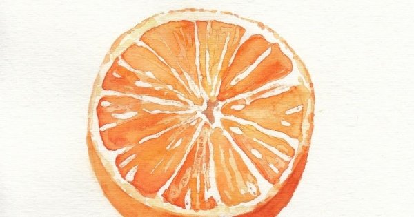 Скетчинг апельсин