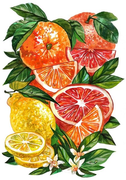 Дольки фруктов акварелью