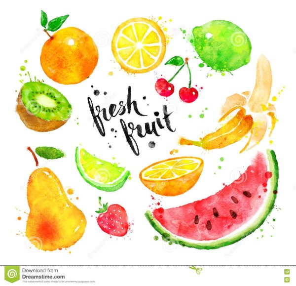 Скетчи акварелью фрукты