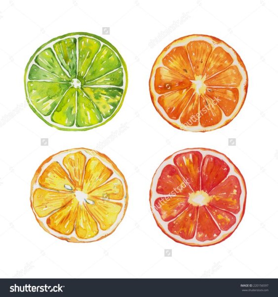 Фрукты акварелью