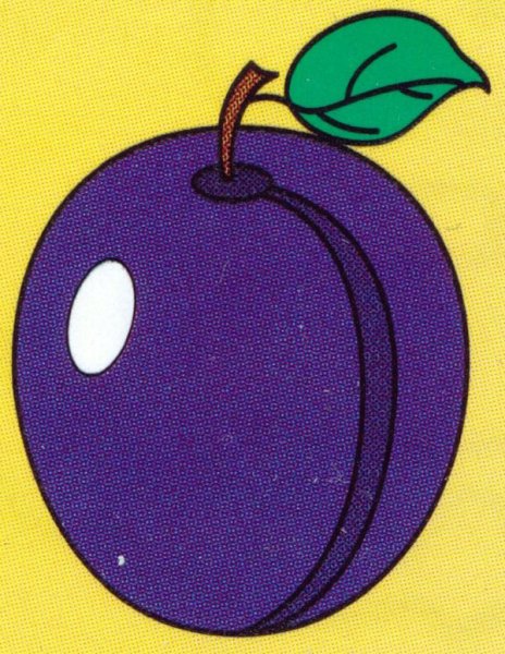 Аппликация слива