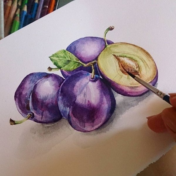 Фрукты акварелью сливы