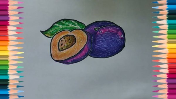 Слива рисунок фломастерами для детей