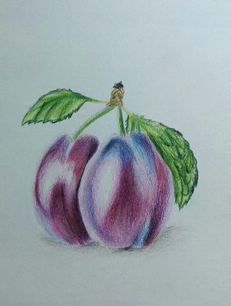 Сливовое дерево для детей